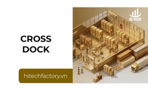 Cross Dock là gì? Giải pháp tối ưu logistics cho doanh nghiệp