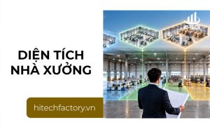 Cách lựa chọn diện tích nhà xưởng phù hợp với nhu cầu sản xuất